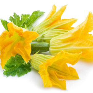 Flor de calabacín